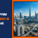 Shipping Services in UAEShipping Services in UAE 1 80x80